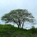 이건농장 이미지