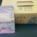 미셸경주