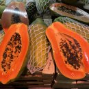 PAPAYA 이미지