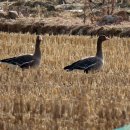 마정2리 이미지