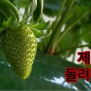 프라임사이언스 Daum카페