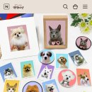 댕댕이냥 이미지