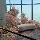더세인트 웨딩