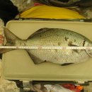 강태공민박 이미지