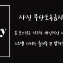팔팔돼지 - 제주시 제원길 7 | 팔팔돼지