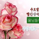 🥜4월1일 수요일 출석부🥜 이미지