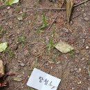 대성태권도 자이점 이미지