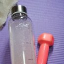 일렉트로부스트