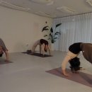 하타요가 이미지