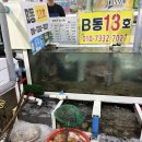 갈매기회센타 - 구미시 | ෆ 부안맛집, 샤스타데이지 보러 갔다가 싱싱한 갑오징어회에 빠진 날 격포 회센터 내돈내산 후기