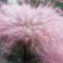 오진농장 이미지