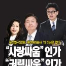 국정원 문건, 이재명 겨냥 檢 조작 증거 이미지