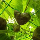 찬호농장 이미지