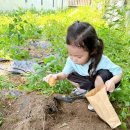 이든유치원 이미지