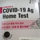 엘림온누리약국 | 코로나 자가 키트 검사 후기