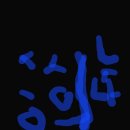 복터진강아지 | 2026년 1월의 일기