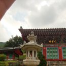 인삼약령시장(외부)_AP2 | 금산여행 보석사와 약령시장 그리고 인삼튀김