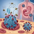 ven Bee venom은 "HIV" 바이러스 유전자의 복제를 감소합니다 이미지