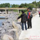 알콩제주 이미지