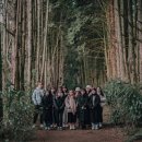 게스트 하우스 소나무 이미지