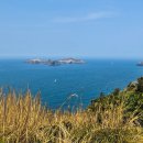 3384 | 제주도쏠라티투어 기사 동행 대절 후기