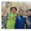 영산포초등학교 이미지