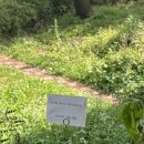 트리밍153 이미지