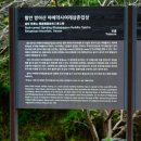 대법1낙차공 | 함안 사찰 방어산 마애사 | 소원성취 청룡