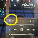 프리비젼스 홀 이미지