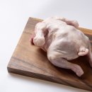 양지농장 이미지