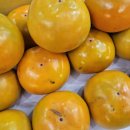 부유농장 이미지