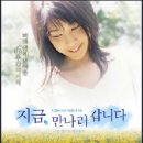 지금 만나러 갑니다 이미지