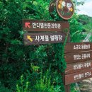 반디랜드 제2주차장 야외 | [무주 반디랜드] 여름밤 별빛과 희귀 곤충의 만남, 전시관 웨이팅 지우는 변칙 관람 루트