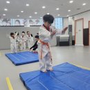 강동태권도 이미지