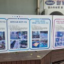 도일시장 이미지