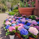 계월농장 이미지