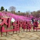 진달래푸드 네이버블로그