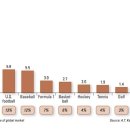 스포츠 정보) 전세계에 존재하는 축구 리그의 숫자(많이들 착각하는 평균연봉의 함정) 이미지