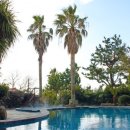 제주산방산탄산온천 이미지