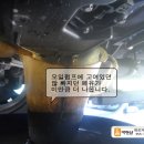카맨삽 이미지