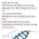 [일반] 쉐딩 방사능 파장과 전자기 연결, 비접 이미지