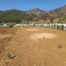 율포농장 이미지