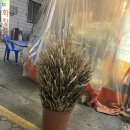 월드컵로428번길 연무로42번길 | 수원 연무시장 가성비 최고 핫도그 맛집 대포햇도그 | 대포세트A(떡볶이+순대+튀김)/어묵 후기