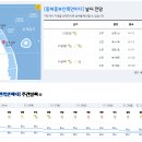 2023년 1월 22일(일요일) 13:00 현재 대한민국 날씨정보 및 기상특보 발표현황 (울릉도, 독도 포함 - 기상청발표) 이미지