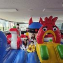 강호태권도장 이미지