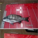 낚시인의 집 이미지