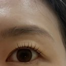 세븐일레븐 마포아크로타워점 | 공덕속눈썹 뮬라인 마포공덕점｜마포역속눈썹 C컬펌 깔끔한 속눈썹펌 후기