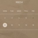 김사랑이뮨슬림의원 이미지