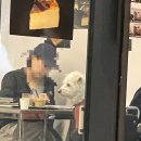 달리는커피(안양평촌점) | [안양/평촌] 평촌 카페 추천 아카루이커피로스터스, 분위기 좋고 커피 맛있는 애견동반카페 후기