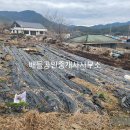 들말센터농촌체험휴양마을 이미지